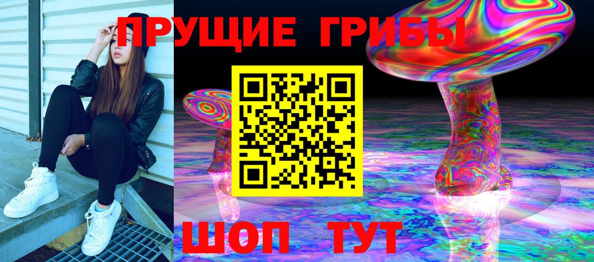 Саров  Галлюциногенные грибы Psilocybe  Вход с VPN 